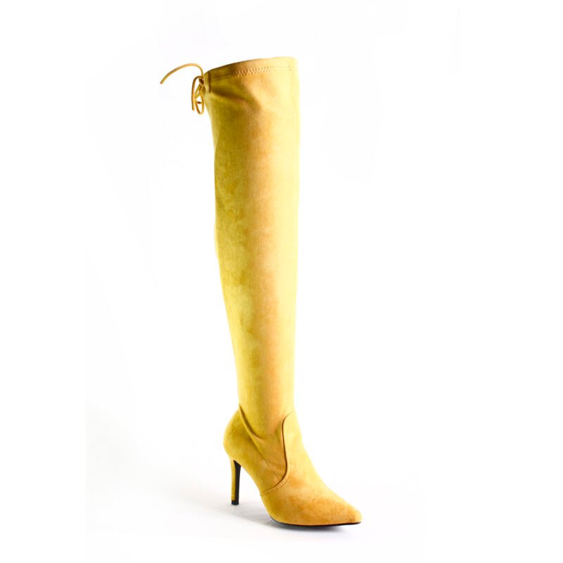 Botas altas con tacón