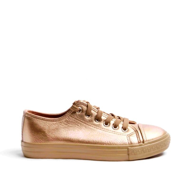 Deportivos estilo  converse